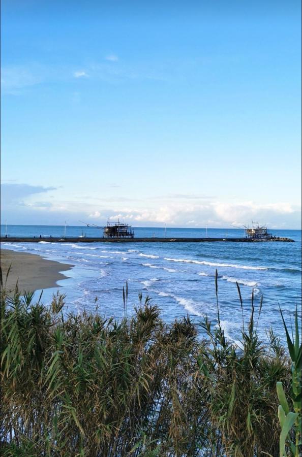 Magnolia Casa Di Campagna Costa Dei Trabocchi Rocca San Giovanni Bagian luar foto